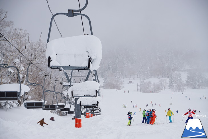 札幌国際スキー場 Welcome back POWDER SNOW !! ～パウダースノー復活～